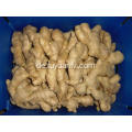 250g luftgetrockneter Ingwer